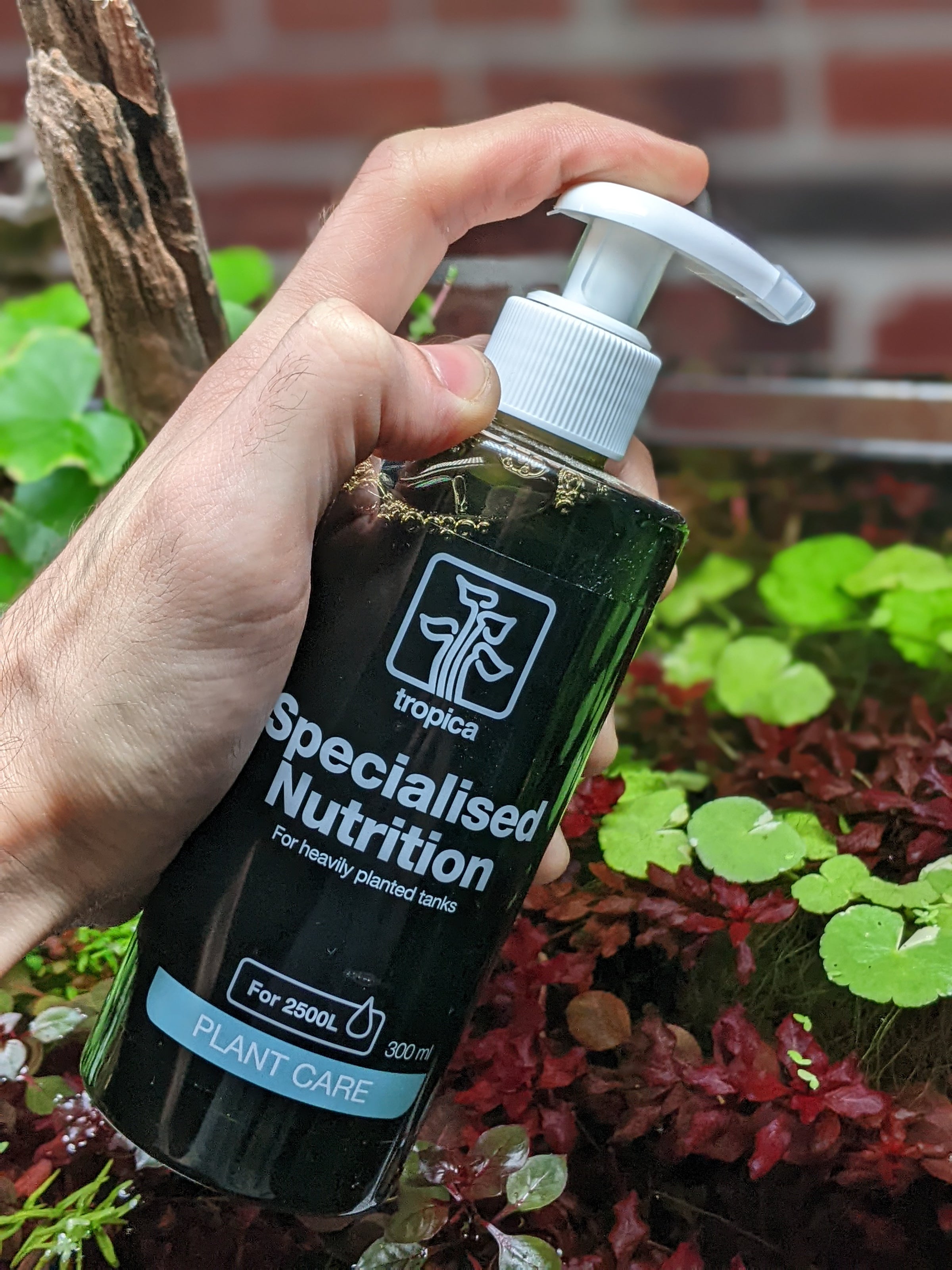 Tropica Plant Growth Premium Dünger 300 Ml – Mikronährstoff-Dünger Für Aquarienpflanzen, Ohne Stickstoff & Phosphor