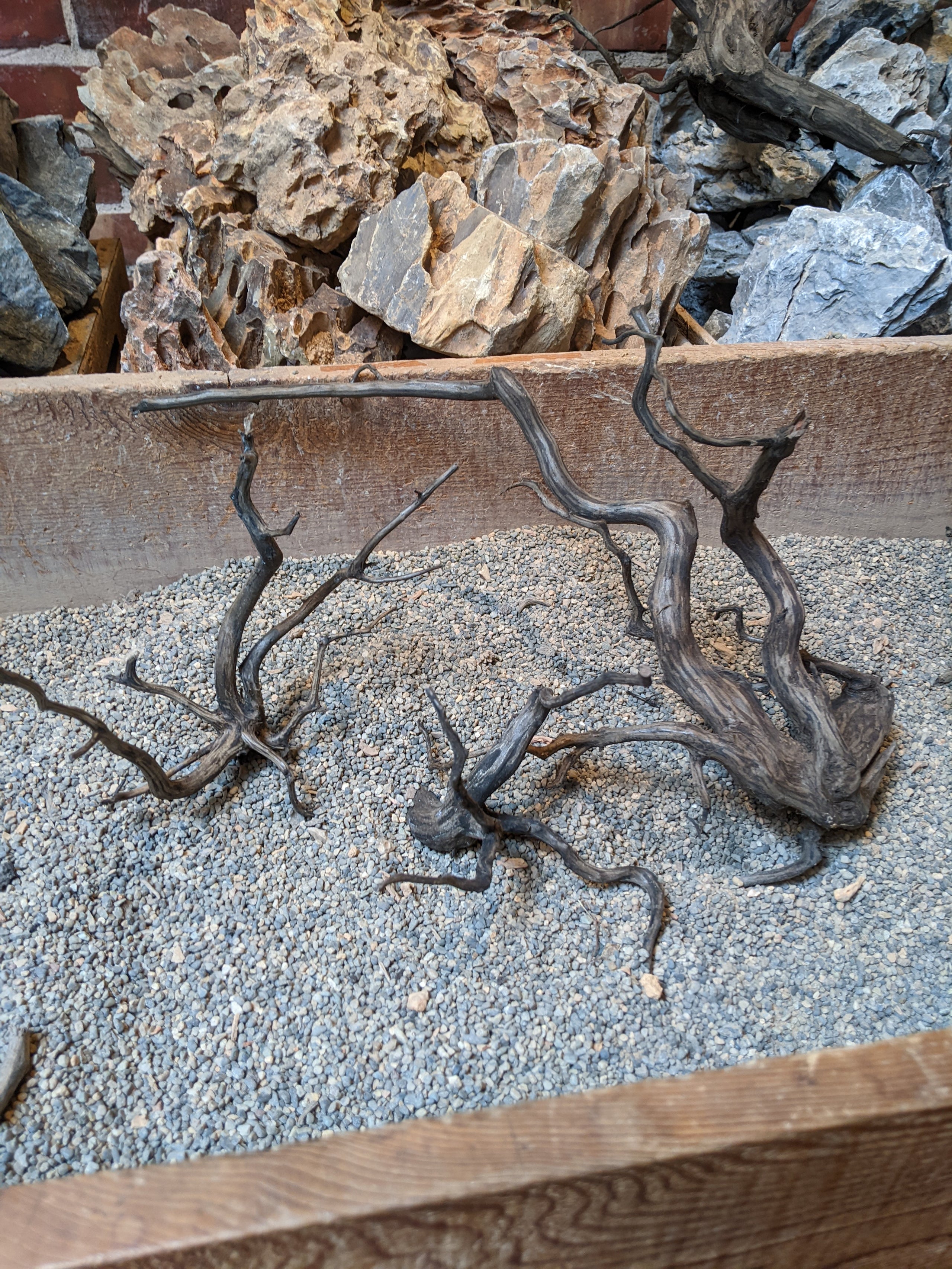 BLACK FOREST SPIDERWOOD SOLD BY PIECE – Nature Aquariums USA
